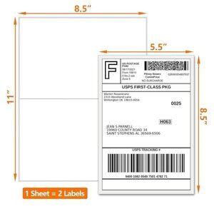 VALUE MAILERS SHIPPING LABELS-HALF SHEET SELF ADHESIVE-PACK OF 100 SHEETS-NEW